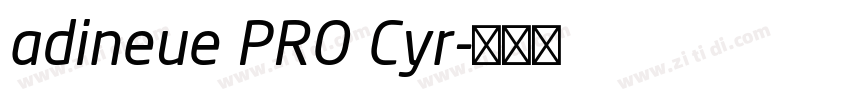 adineue PRO Cyr字体转换